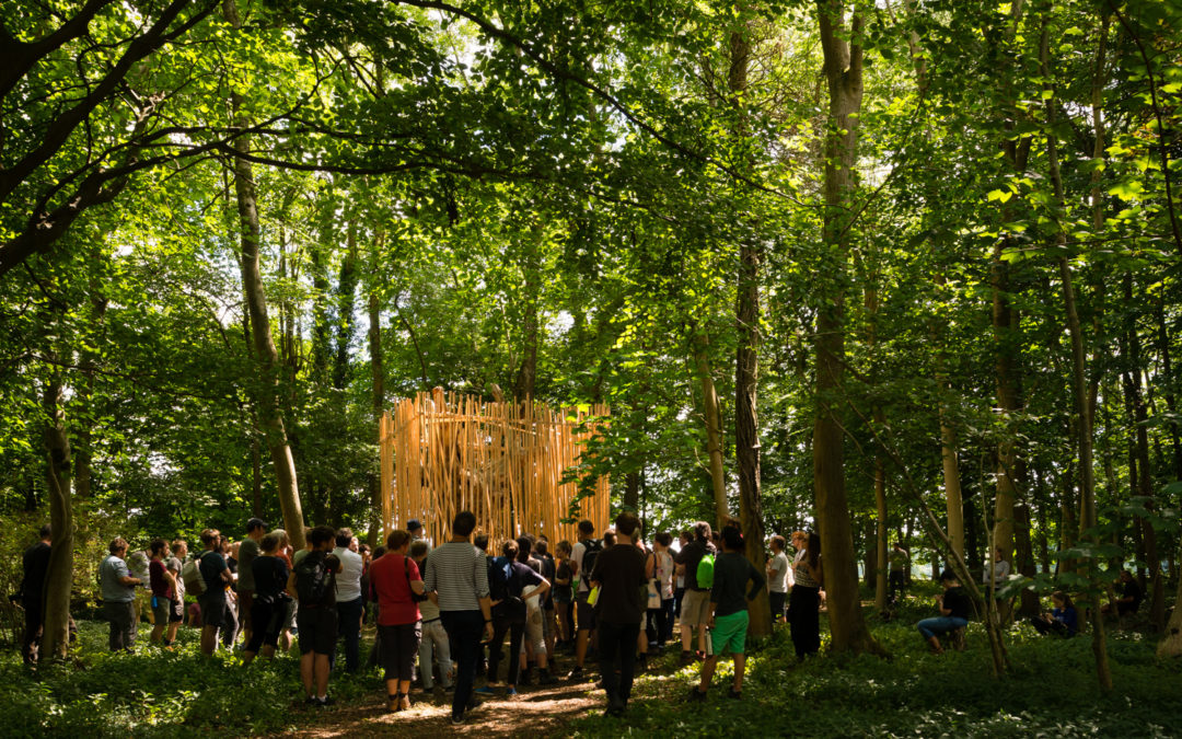TREE HOUSE ‘MEMORIAL’